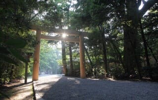 1553907745755.jpg jisejinn.jpg