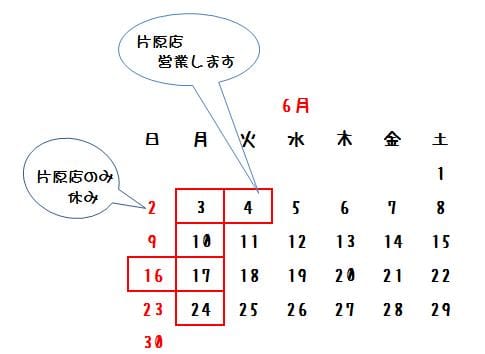 20196.jpgのサムネール画像